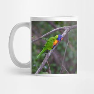 Colorful Mug